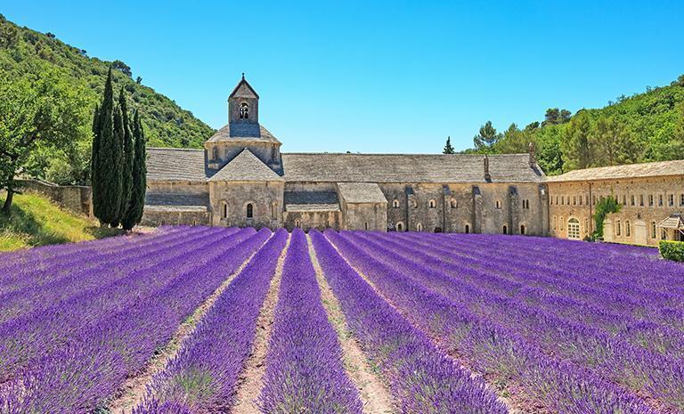 南法．紫戀薰衣草13日(夏季) - 酒莊馥郁醺香．修道院紫花毯．巴黎夜曲連泊