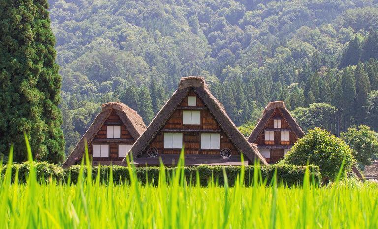 北陸．恐龍巨獸傳奇7日(親子推薦) - 【初見日本】侏儸紀列車．恐龍博物館．白川鄉合掌村．福井金澤連泊