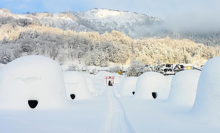 關東.童話雪屋村7日(冬季) - 國寶松本城.河口湖雪富士.輕井澤奢靜星宿