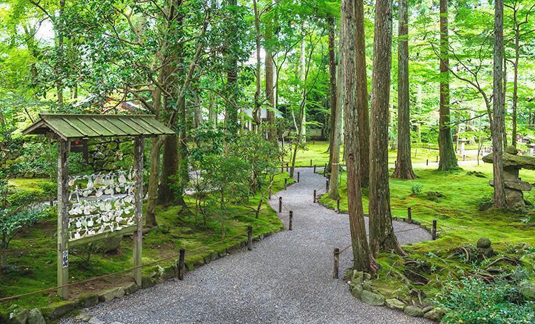 關西．京阪流光溢彩5日 - teamLab美術館．一星鑰大阪W飯店．京都凱悅3晚