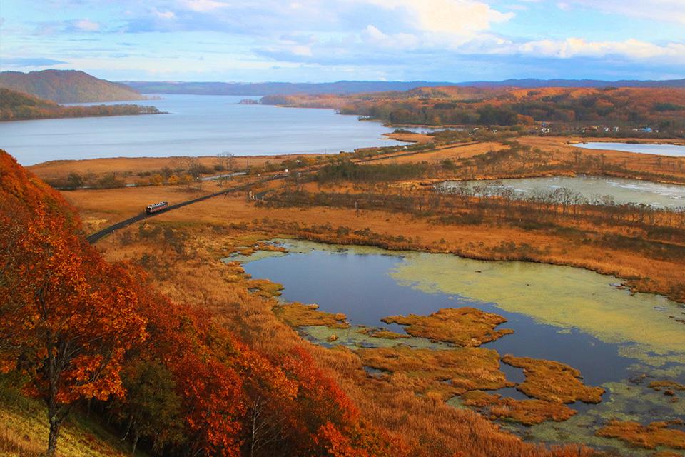 金秋大地．楓之絕響