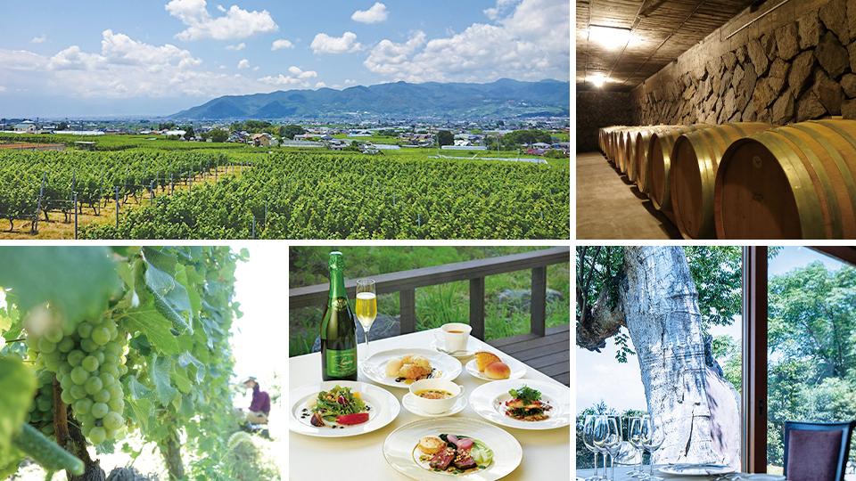 Lumiere Winery.酒香馥郁