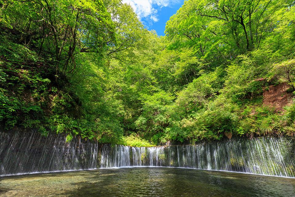 關東韶華.和風詩畫