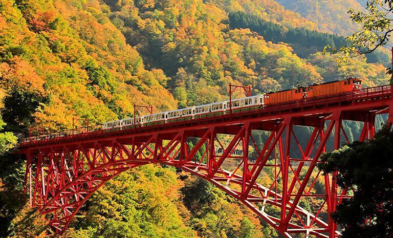 北陸．紅葉峽谷列車7日(秋季賞楓)