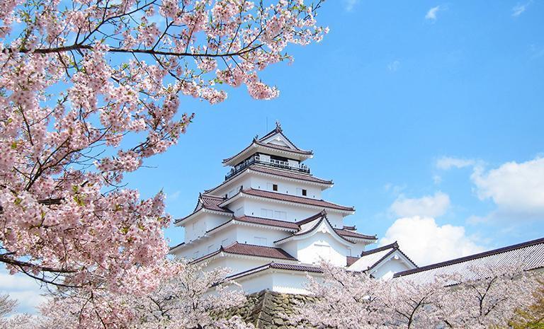 東北．櫻紛鶴之城7日(春季賞櫻) - 常陸海濱花響．櫻流白石川堤．5星東京奢宿