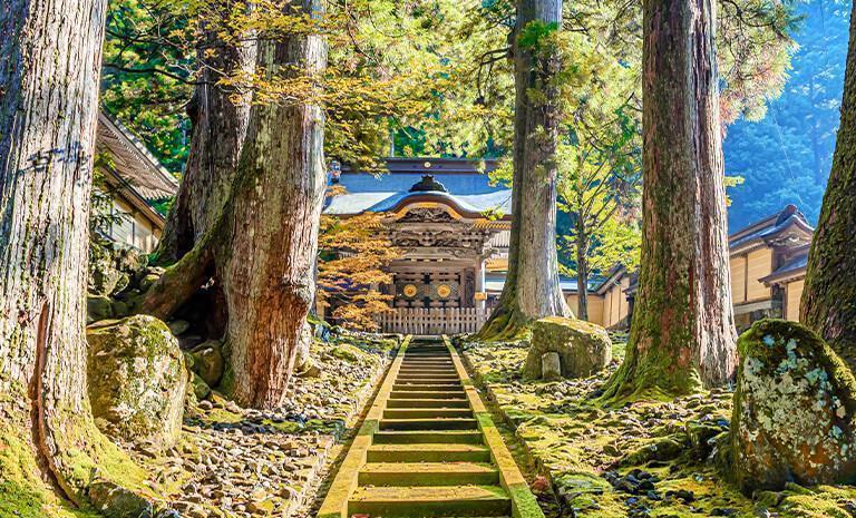 北陸．秋艷鶴仙溪7日(秋季賞楓) - 楓闊永平寺．王者越前蟹．加賀溫泉．金澤連泊