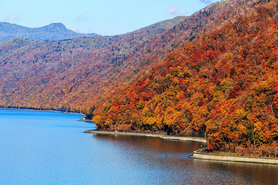 流動光影．水之靛藍