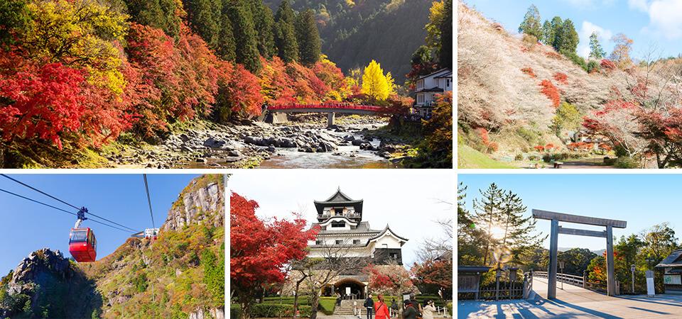 丹楓訴秋．漫天霞彩