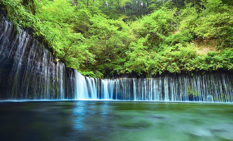 關東．輕井澤綠山水5日(親子推薦) - 趣味冰壺體驗．迪士尼公認飯店2晚．東京自由活動