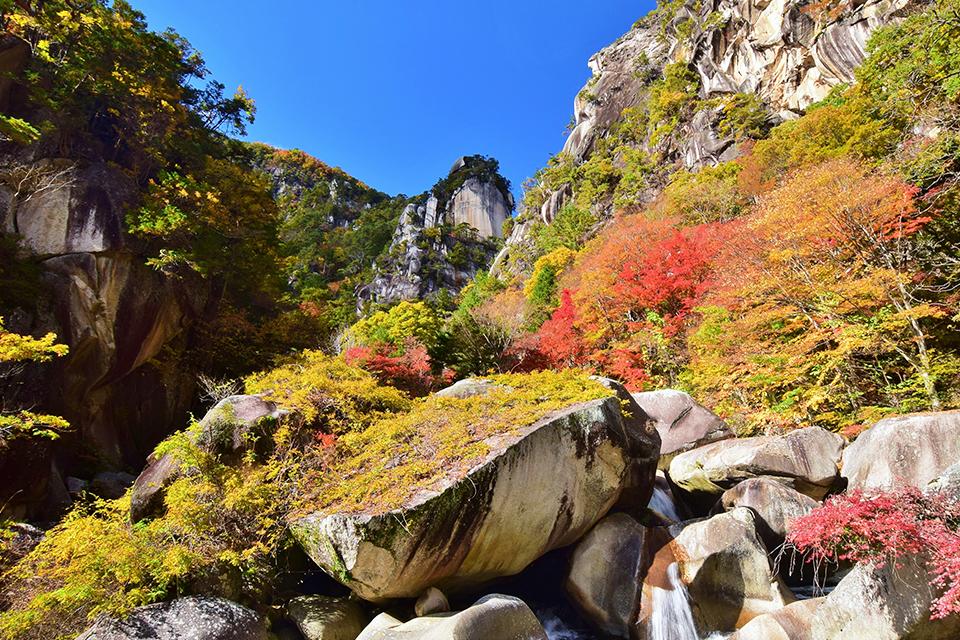 紅葉燦燦．楓華濃烈