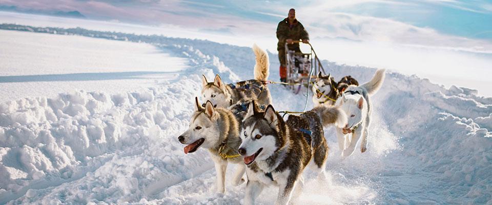 邂逅極光奇蹟 宇宙獻給地球的交響詩