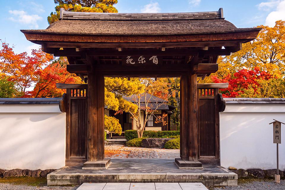 紅葉燦燦.楓華濃烈