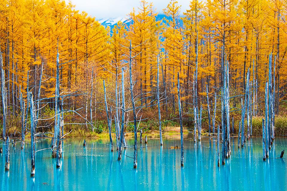 流動光影．水之靛藍