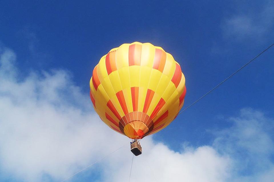 金秋大地．楓之絕響