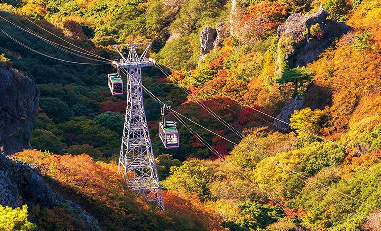 四國．楓舞小豆島5日(秋季賞楓) - 寒霞溪紅葉賞．楓艷栗林公園．川流倉敷美觀