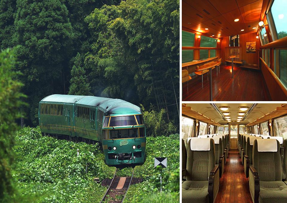 綠意精靈.由布院之森