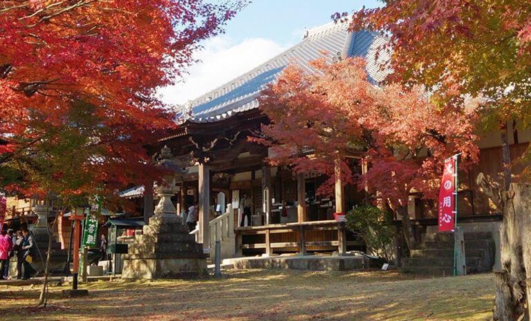 北陸．寂光院紅葉寺7日(秋季賞楓)
