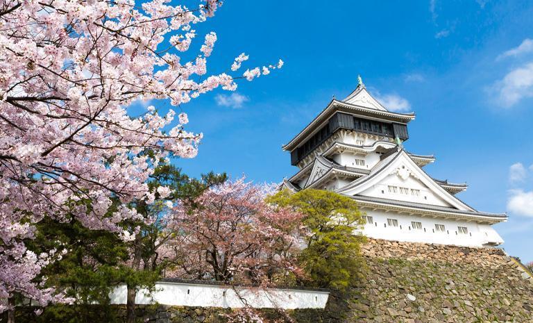 九州．小倉櫻重奏7日(春季賞櫻) - 【初見日本】春織熊本城．古寺櫻雲海．由布院藝遊．別府天泉御宿