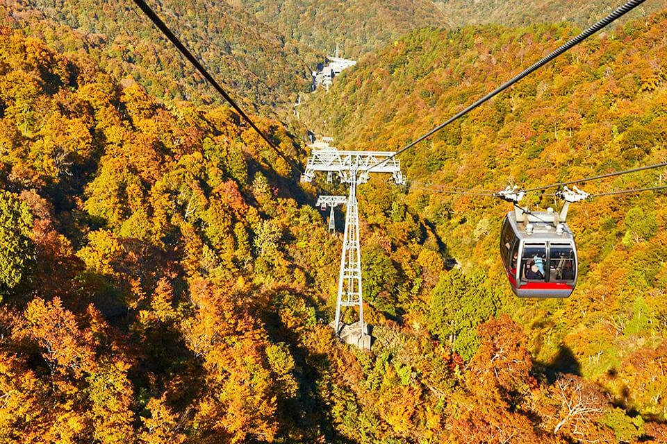 丹楓訴秋．漫天霞彩