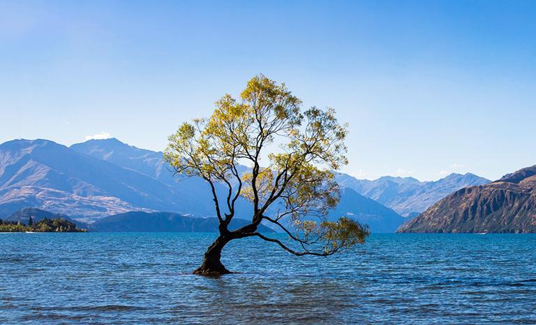 紐西蘭．南北島勝覽15日(遇中秋、雙十連假) - 庫克山冰川直升機．峽灣龍蝦名饌．5星皇后鎮3連泊