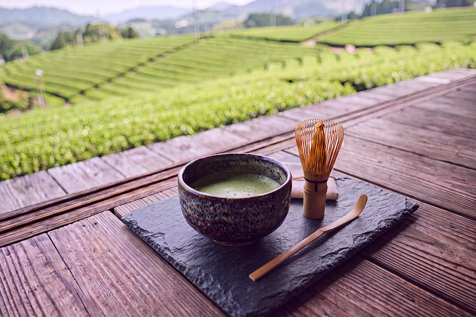 抹茶巡禮．甘醇茶韻