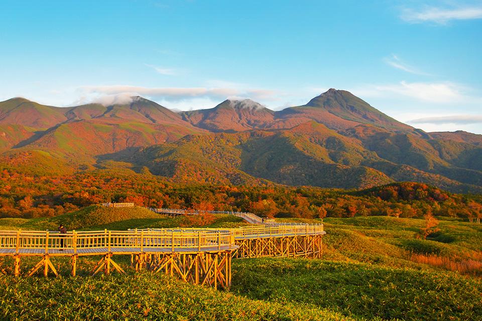 金秋大地．楓之絕響