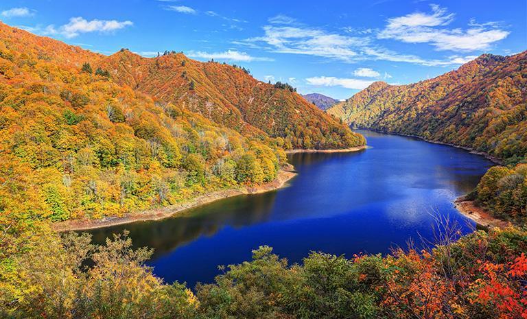 新潟．大地藝術祭7日(秋季賞楓) - 【奢藏日本】米其林一星鑰．清津峽水鏡．楓漫奧只見湖．雪室清酒