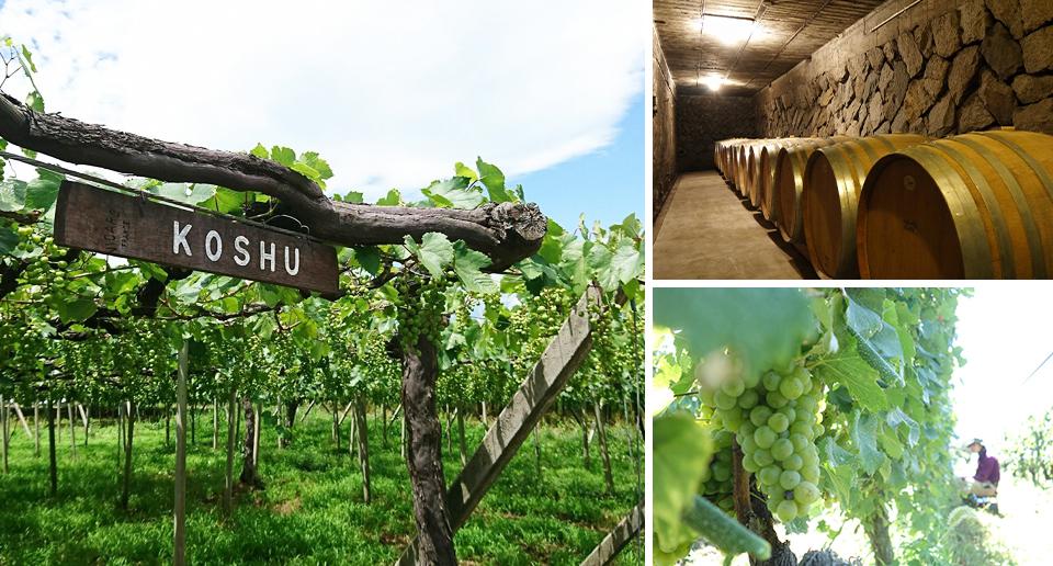 Lumiere Winery.酒香馥郁