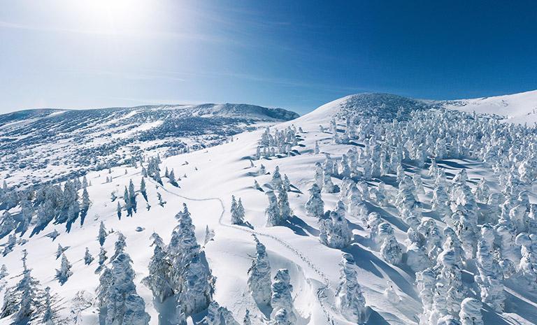 東北．藏王樹冰雪怪7日(冬季) - 仙幻銀山溫泉．松島海灣漫舟．毛茸狐狸嬉遊