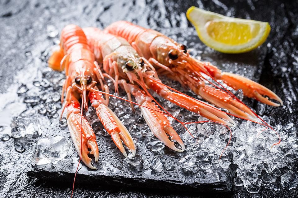 味蕾漫遊 海風與森林的國度