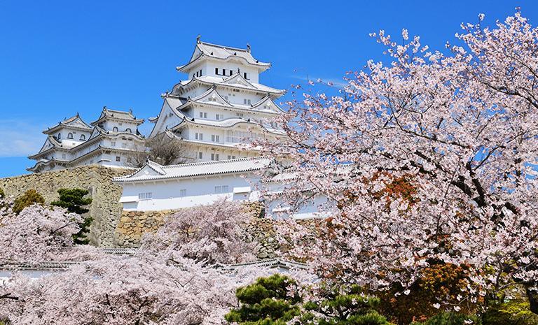 山陰山陽．櫻幻姬路城7日(春季賞櫻) - 春映堀川．岡山後樂園．斐伊川櫻並木．出雲神話溫泉