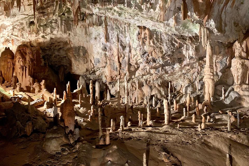 璀璨綠寶石．斯洛維尼亞