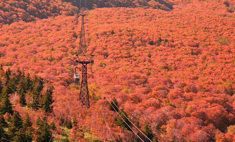 東北．長榮元氣日本5日 - 楓染奧入瀨溪．八甲田山．十和田湖．星野仙宿雙連泊