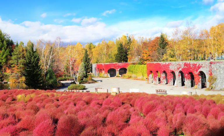 北海道．楓映支笏湖5日 - 【奢藏日本】浮空熱氣球．紅萌波波草．獨木舟楓光．二世谷御宿
