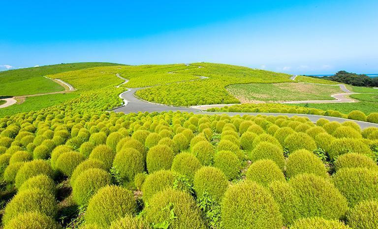 東北．碧翠波波草7日(夏季) - 天韻銀山溫泉．藏王翠山嵐．松島情漾逸境