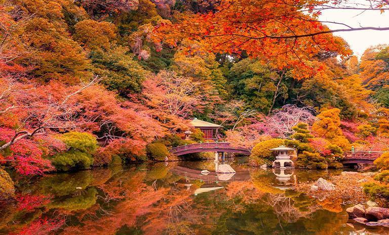 北九州山口．楓染小倉城7日(秋季賞楓) - 【星曜日本】奇景秋芳洞．長府庭園．糸島夫婦岩．麗池卡爾登連泊