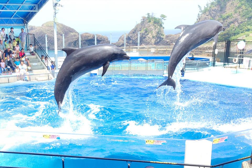 北陸燦光．皎綠映畫