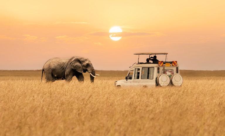 肯亞．奢豪新視野11日
