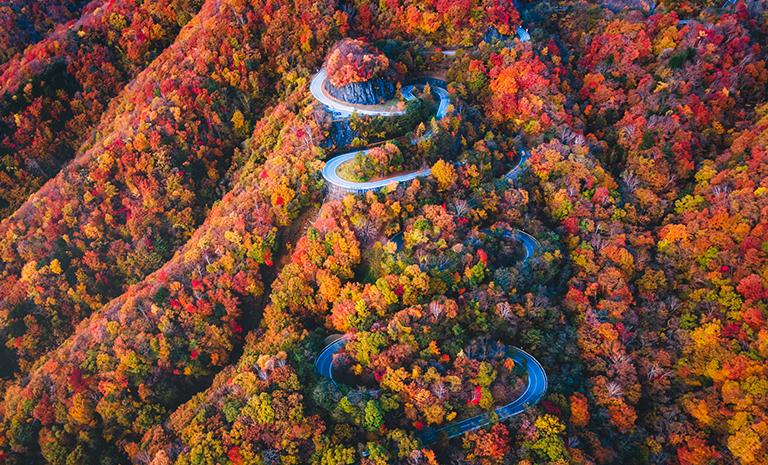 關東.日光紅葉坂5日(秋季賞楓) - 波波草火精靈.楓艷偕樂園.秋澄中禪寺湖