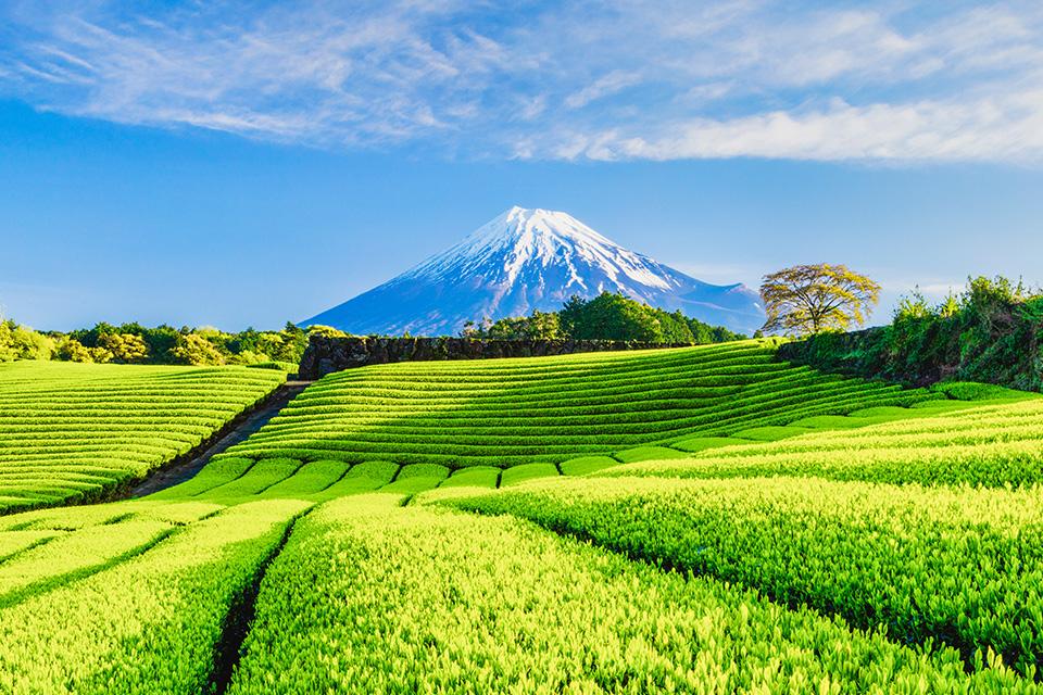 關東澄景．日麗詩畫