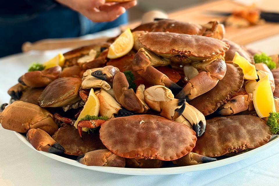 新鮮甘美的大海滋味 只想讓你邂逅味蕾之美