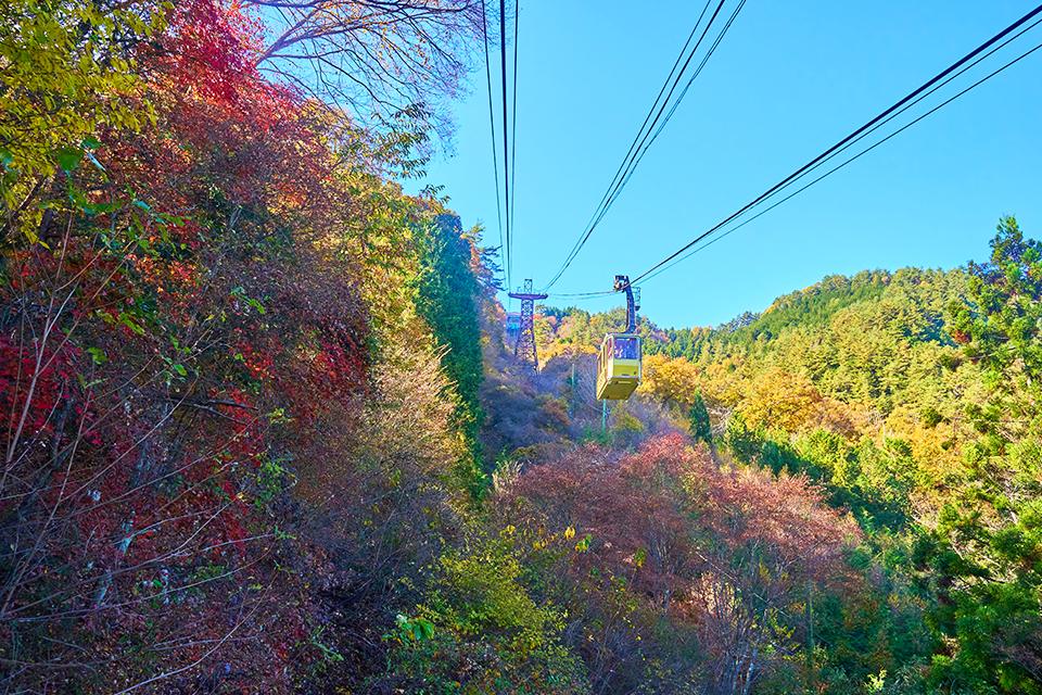 紅葉燦燦．楓華濃烈