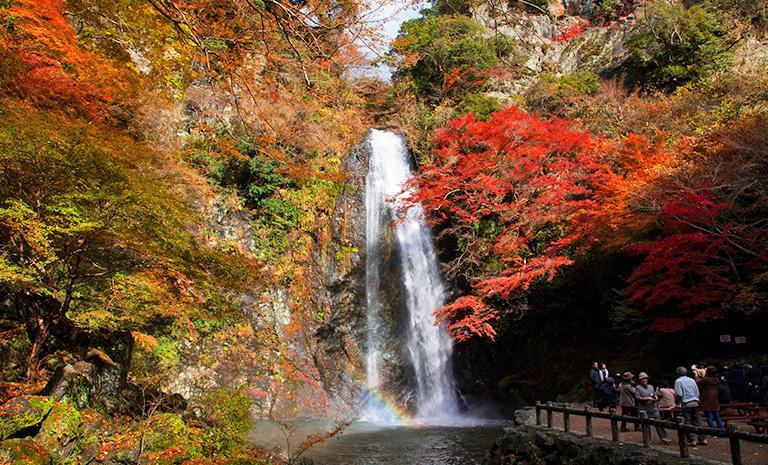 關西．楓湧箕面飛瀑5日(秋季賞楓) - 【初見日本】朱橙瑞寶寺．京都紅葉古剎．有馬金銀古湯．琵琶湖連泊