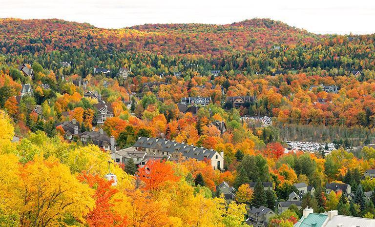 加拿大．楓燦千島群島14日(秋季賞楓) - 黃刀鎮極光2天2夜．秋漾川普朗山．尼加拉面瀑房連泊