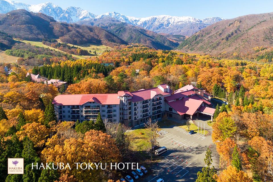 北陸月夜．悠逸雅趣