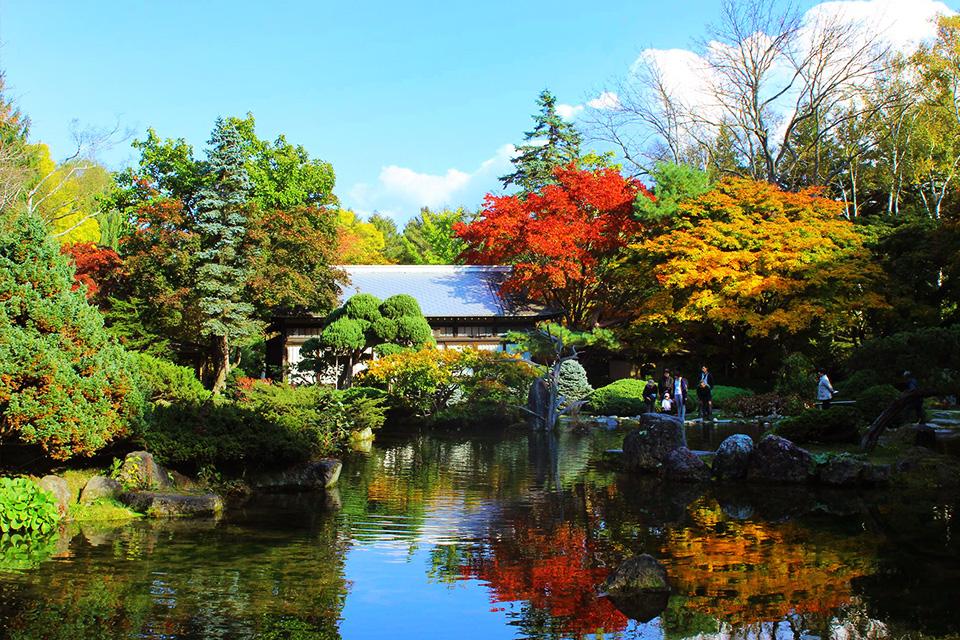 金秋大地．楓之絕響