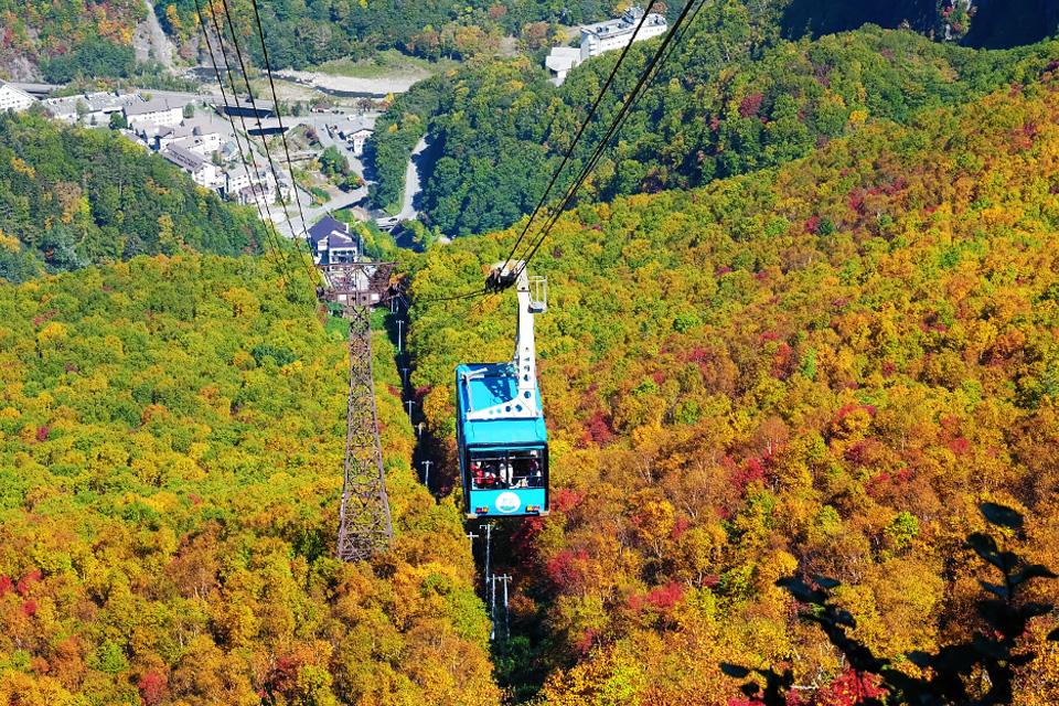 金秋大地．楓之絕響