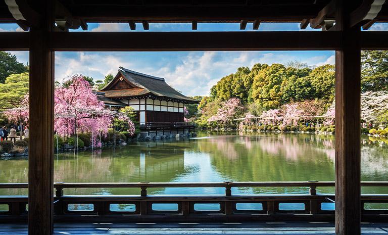 關西．平安神宮櫻苑5日(春季賞櫻) - 仁和寺御室櫻．宇治平等院．達摩花海．京都風雅連泊