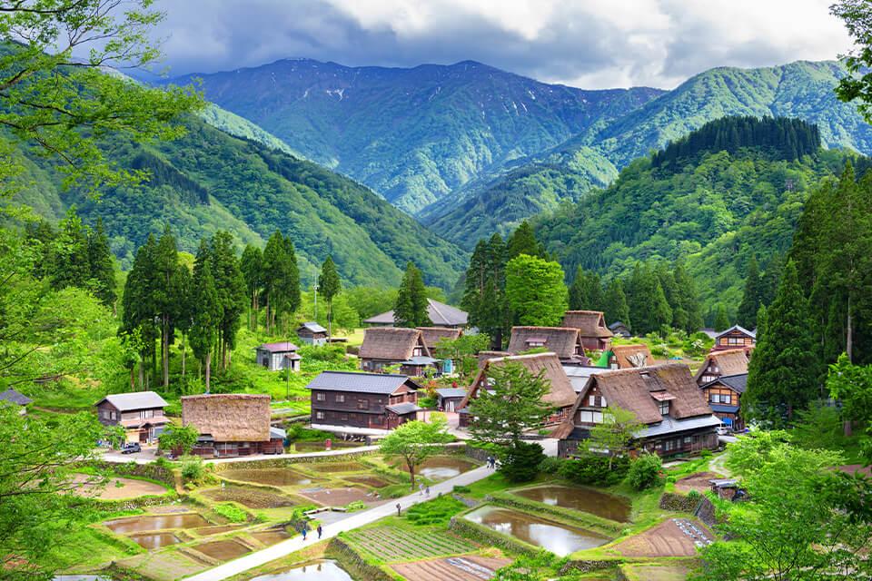 北陸燦光.皎綠映畫