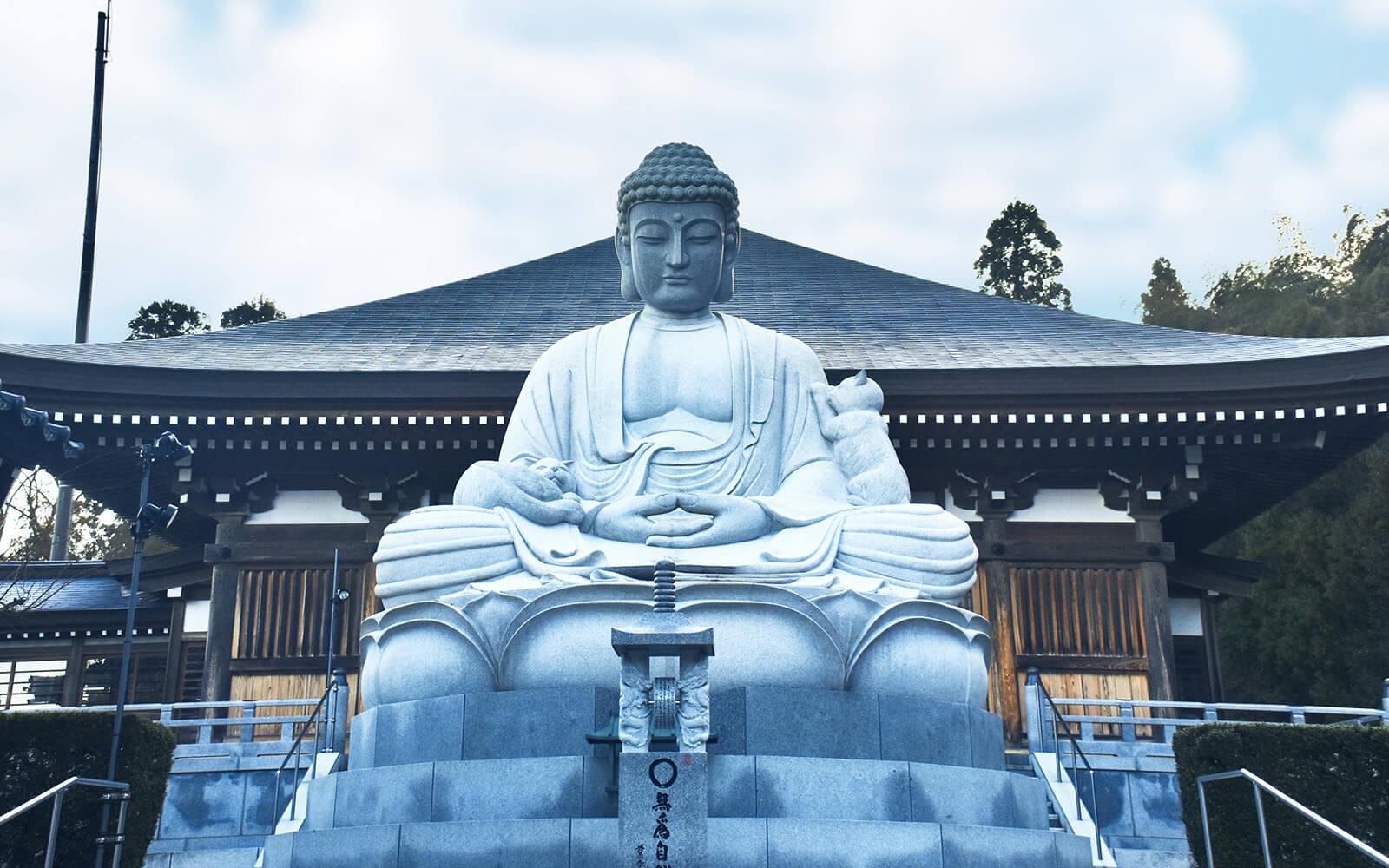 北陸燦光．皎綠映畫